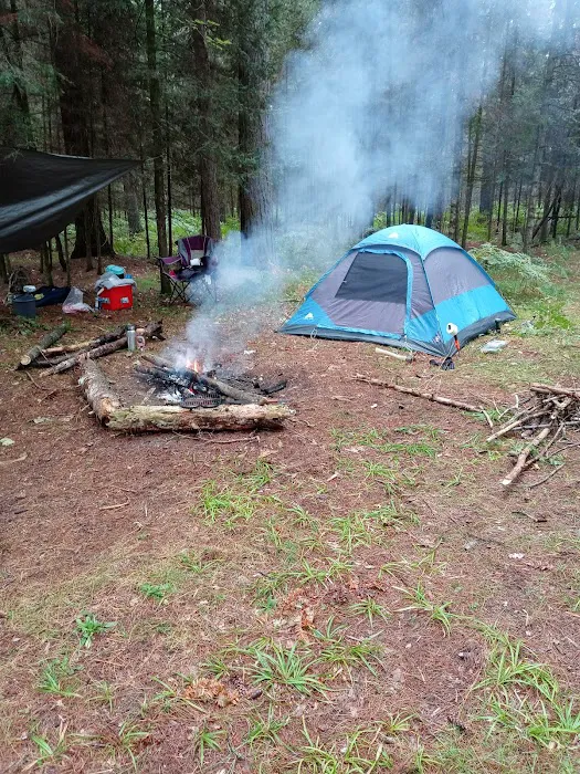 Cathedral Pines Campground 8