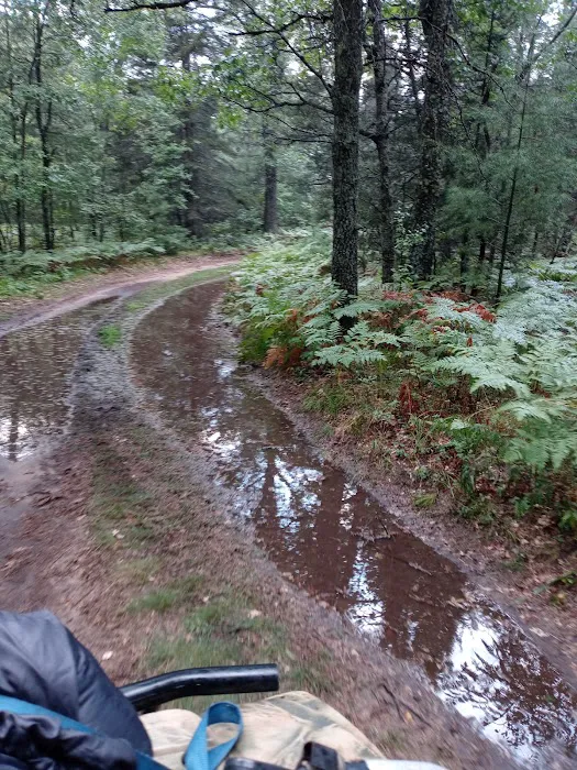 Cathedral Pines Campground 7