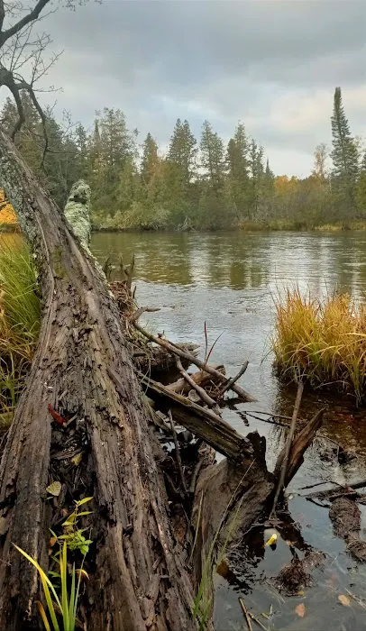 Meadow Springs Campground 2