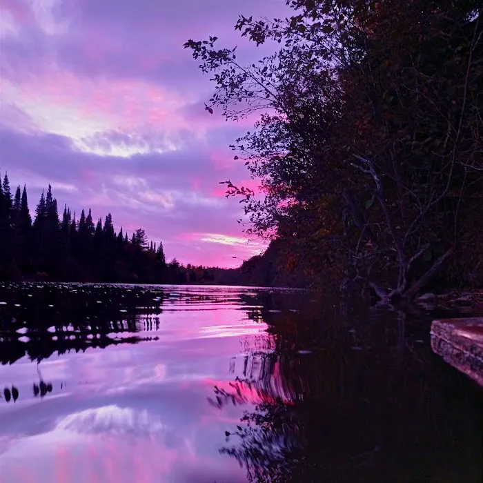 Meadow Springs Campground 7