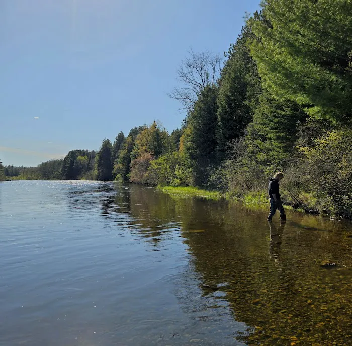 Meadow Springs Campground 9