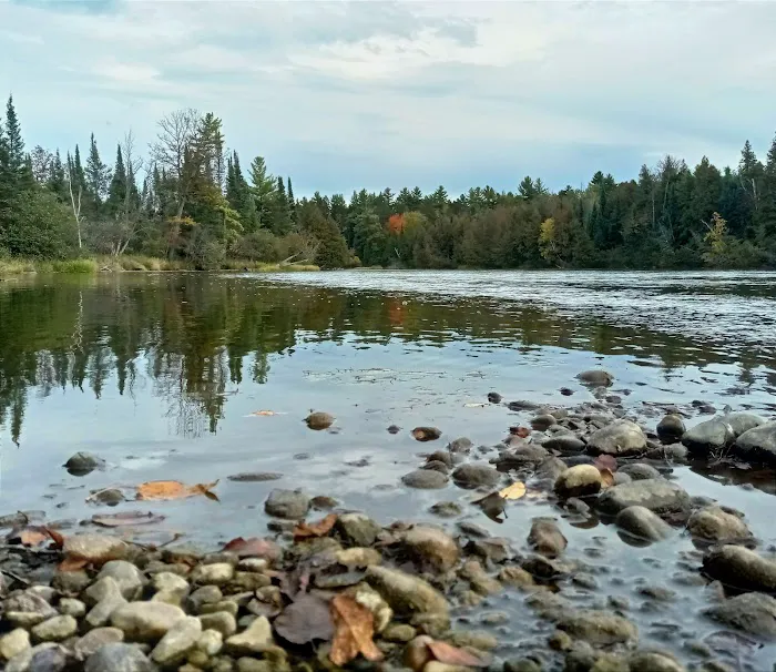 Meadow Springs Campground 6