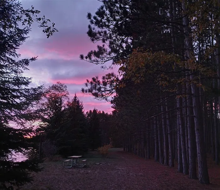 Meadow Springs Campground 0