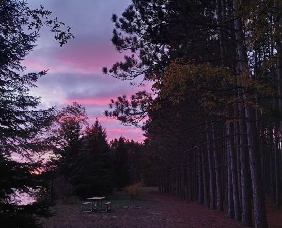 Meadow Springs Campground