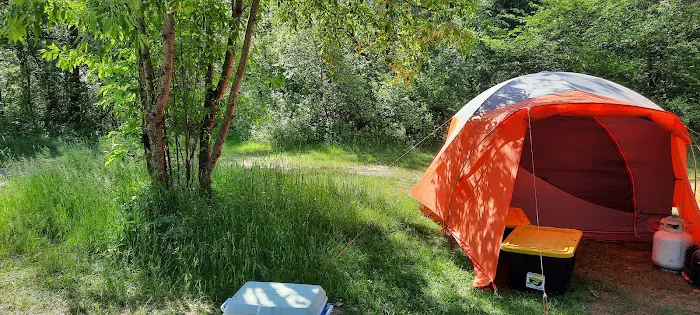 Au Sable Loop Campground and Day Use Area 4