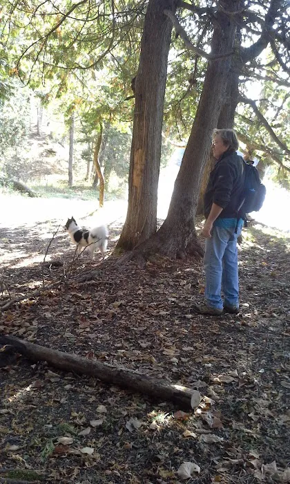 River Dune Campground 4