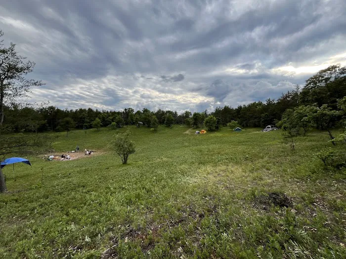 Mio Pond State Forest Campground circle camp 5
