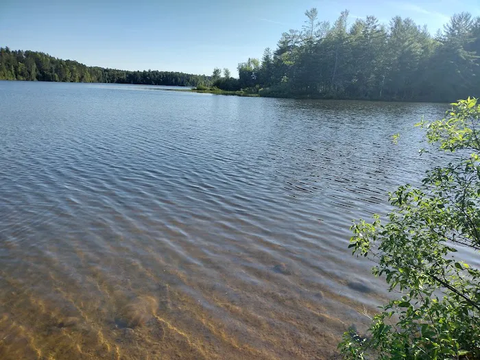 Mio Pond State Forest Campground circle camp 1