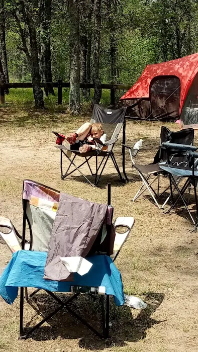 Muskrat Lake State Forest Campground 5