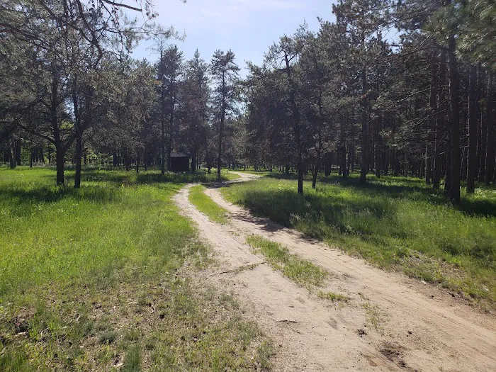McKinley Trail Camp for the Shore to Shore Horseback and Hiking Trail 9