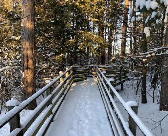Oscoda County Park
