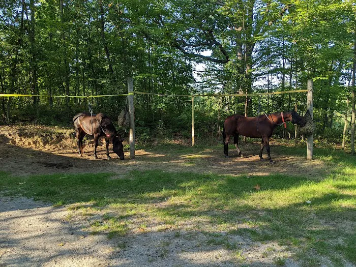 Big Oaks Equestrian State Campground 6