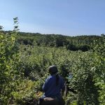 Big Oaks Equestrian State Campground