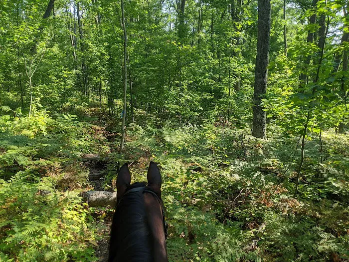 Big Oaks Equestrian State Campground 5