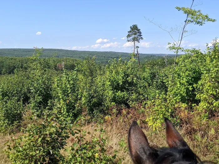 Big Oaks Equestrian State Campground 1