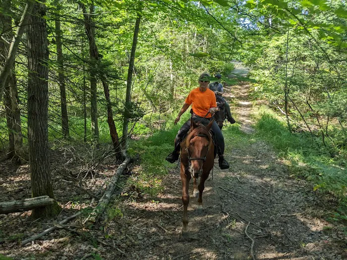 Big Oaks Equestrian State Campground 3