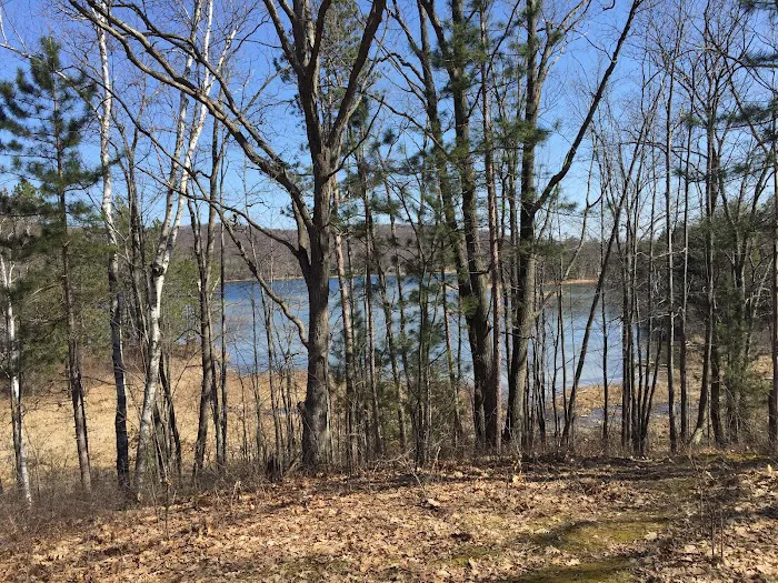 Avery Lake State Forest Campground 6