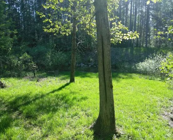 Becks Red Lantern Campground