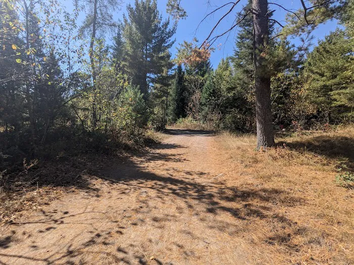 Buttercup Campground 6