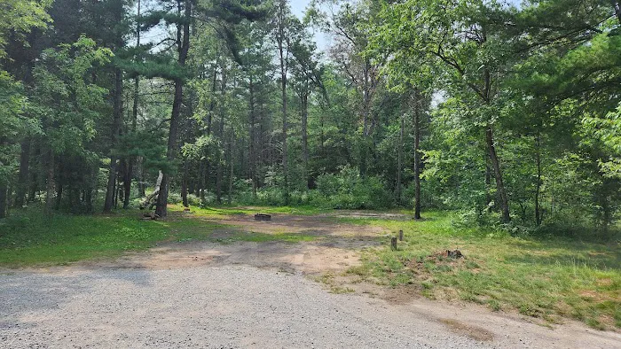 Buttercup Campground 4