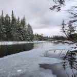 Bear Island Campsite