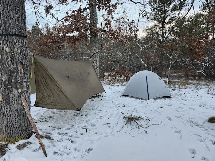 Bear Island Campsite 1