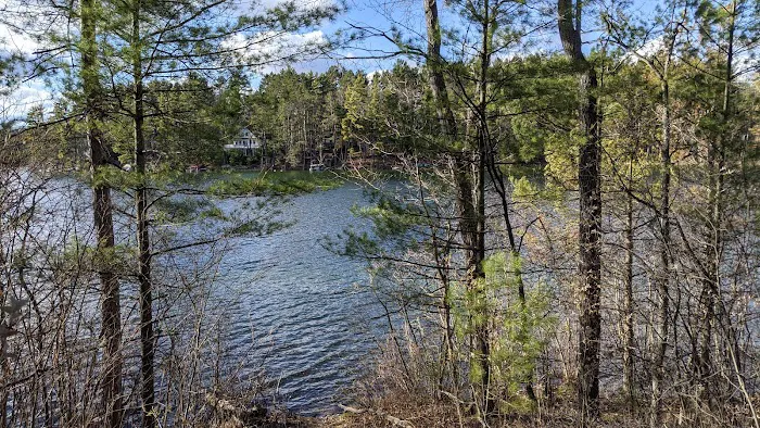 Little Wolf Lake State Campground 5