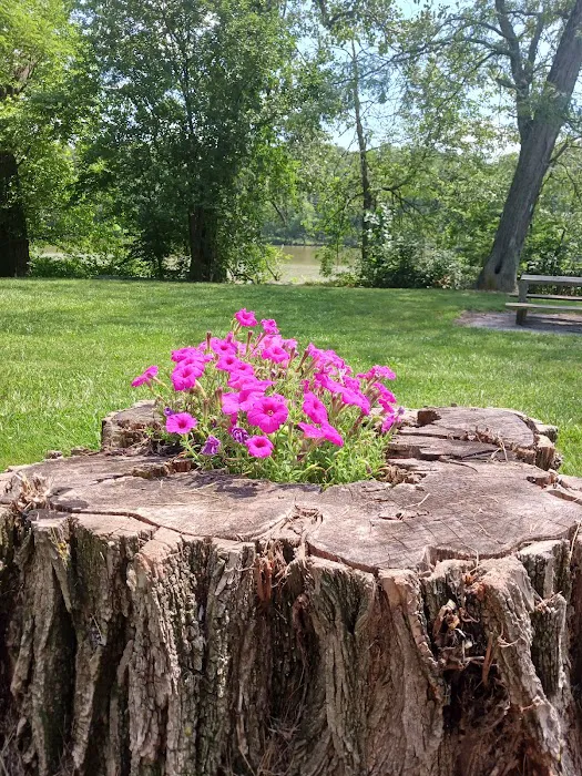 Independence Dam State Park Campground 4