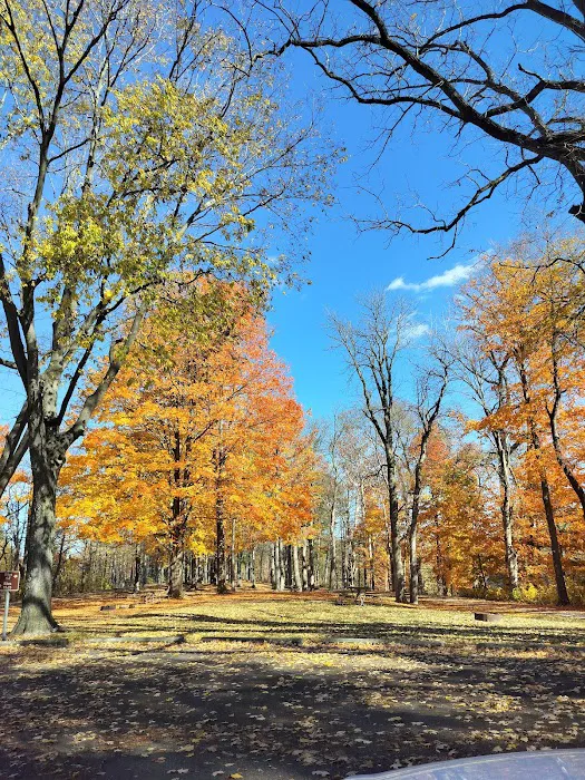 Independence Dam State Park Campground 5