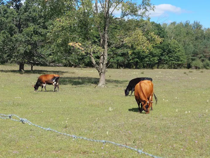 Braxton's Ranch 8