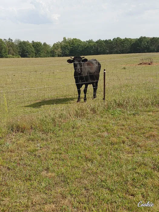 Braxton's Ranch 6