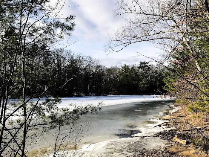 Black Creek State Forest Campground 3