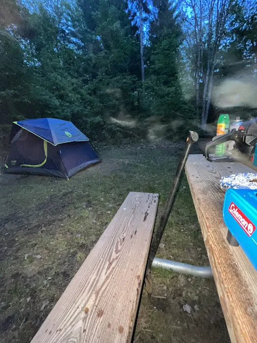 Black Creek State Forest Campground 1