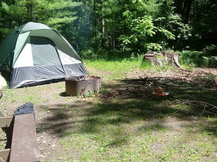 Black Creek State Forest Campground 4
