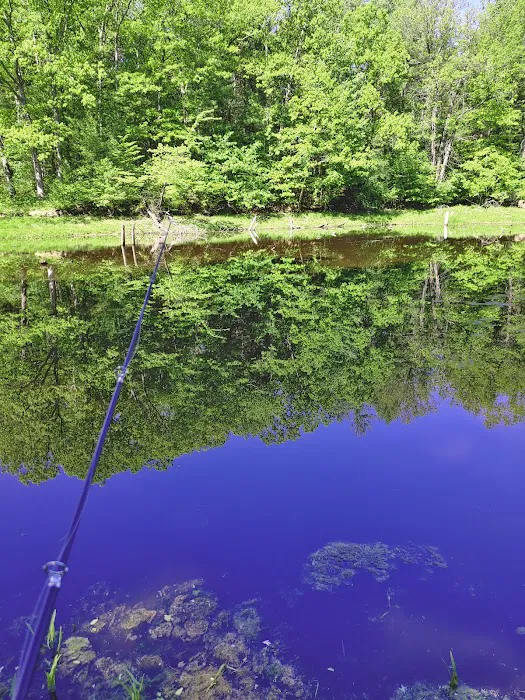 Black Creek State Forest Campground 8