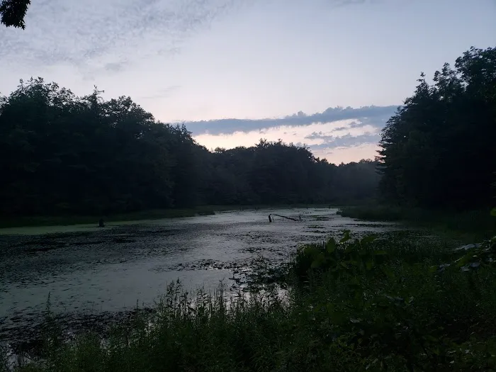 Black Creek State Forest Campground 9