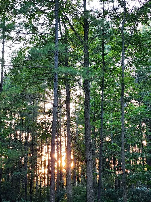 Calhoun Campground 3