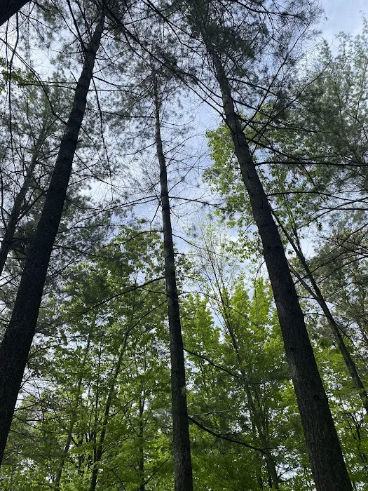 Calhoun Campground 8