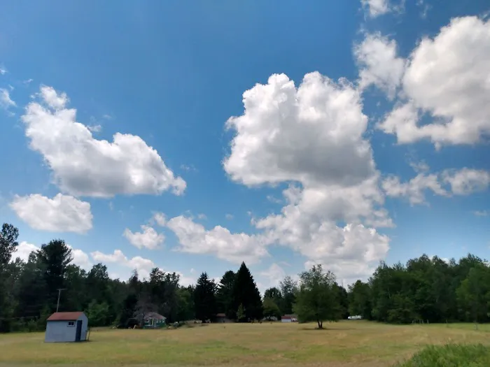 Gladwin City Park 5