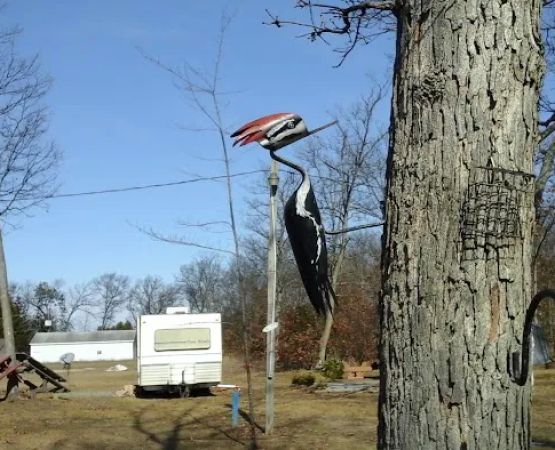 Dodge City Campground LLC