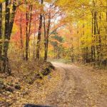 White Birch Lakes Rec Assoc Campground