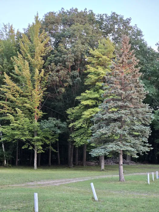 Secord Lake Campground and RV 5