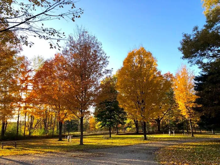Countryside Campground and Cabins 7