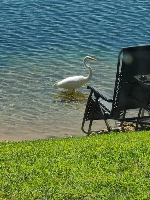 Eagle's Cove RV Resort 8
