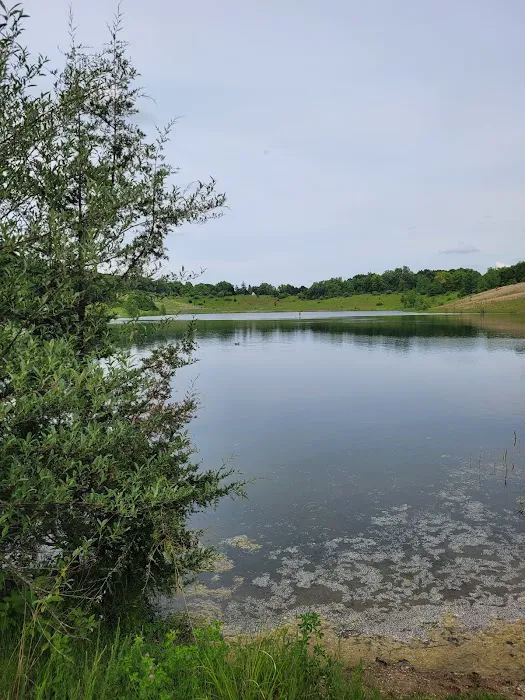 Sand Lake Campground 4
