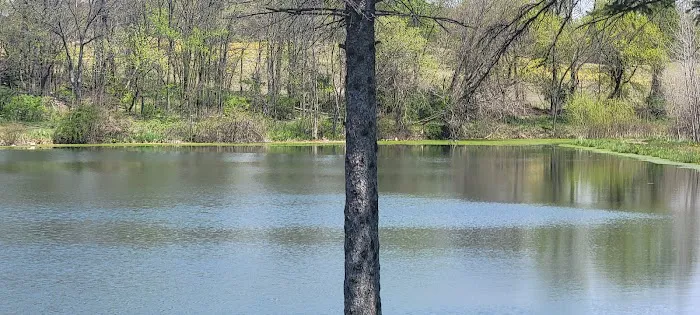 Thornapple Acres Private Camp 3