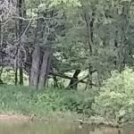 Duggan's Canoe Livery & Campground, Inc.