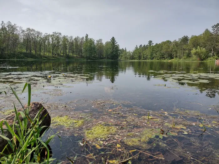 House Lake State Forest Campground 8