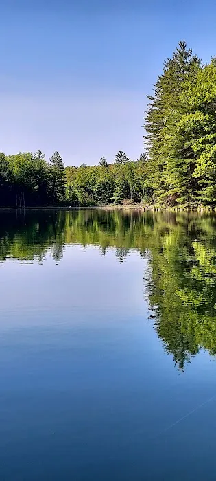 House Lake State Forest Campground 1