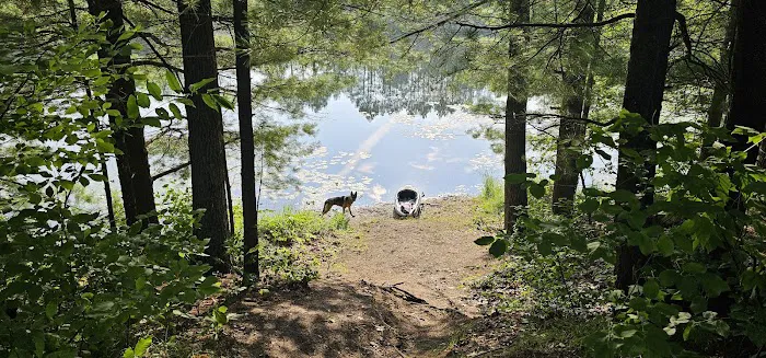 House Lake State Forest Campground 2